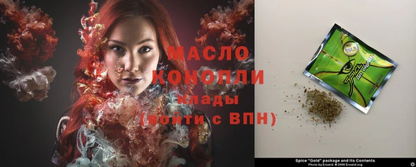 индика Осташков
