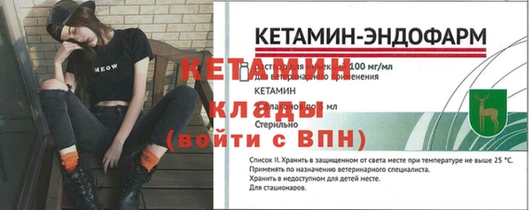 индика Осташков