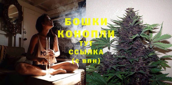 соль ск Переславль-Залесский