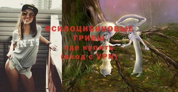 меф Няндома