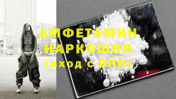 индика Осташков
