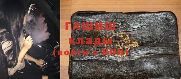 индика Осташков