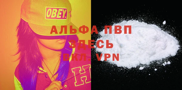 индика Осташков