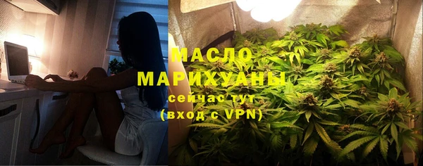 индика Осташков
