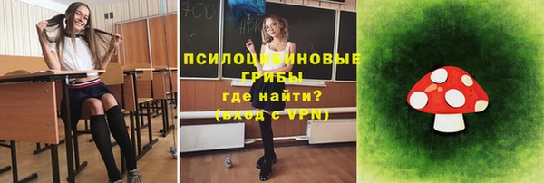 соль ск Переславль-Залесский