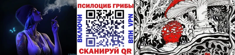 Галлюциногенные грибы MAGIC MUSHROOMS  Уржум 
